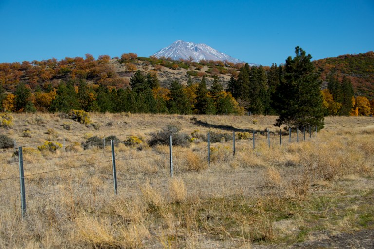 Beautiful fall colors around Mount Shasta