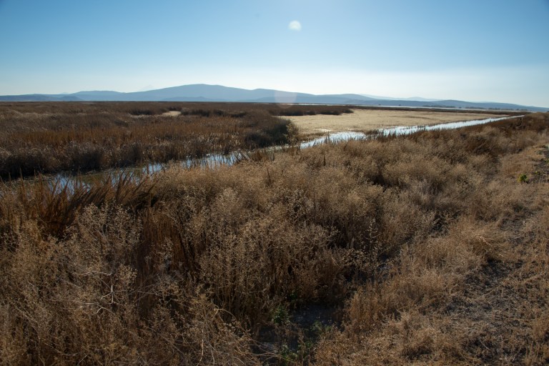 Another view from the Vista Point in Lower Klamath Lake National Refuge Area