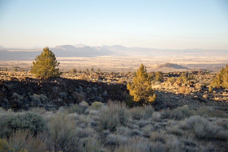 View toward the north