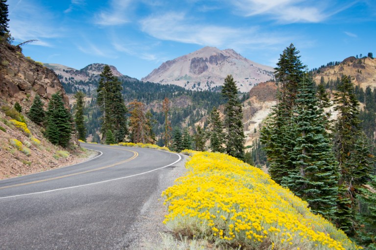 Mt Lassen with wildflowers growing alongside highway 89