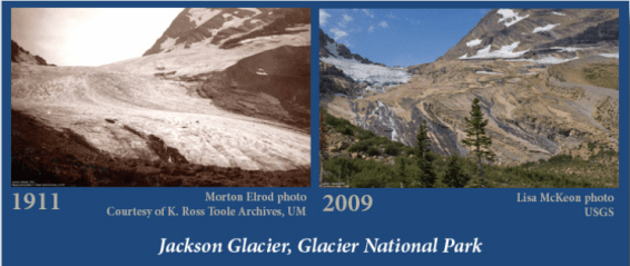 Jackson Glacier
